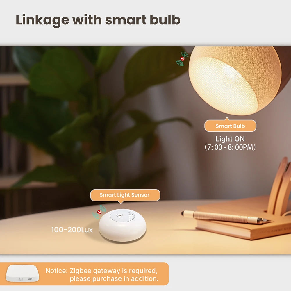 Tuya Zigbee capteur de lumière capteur de Luminance APP contrôle éclairage détecteur de luminosité automatisation d'éclairage domestique