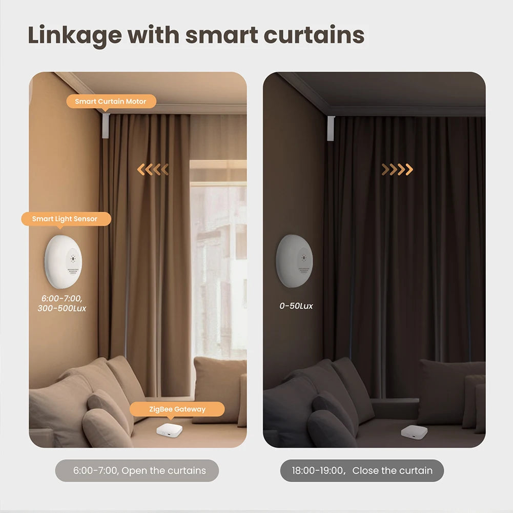 Tuya Zigbee capteur de lumière capteur de Luminance APP contrôle éclairage détecteur de luminosité automatisation d'éclairage domestique