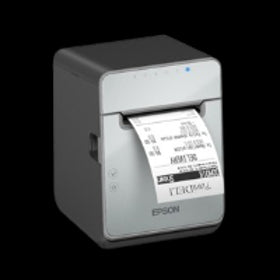 TM-L100