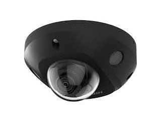 DS-2CD2543G2-IS(2.8mm)(Black)