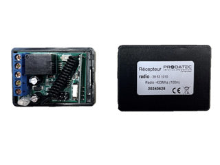 39531010 REP RADIO 1C