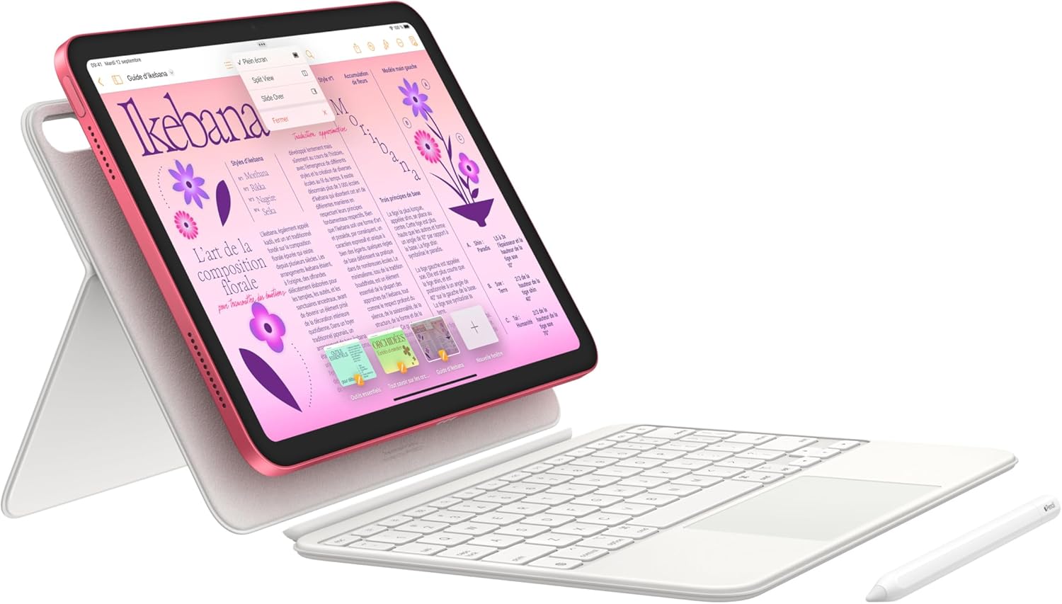 Apple iPad 10,9 Pouces (Wi-FI, 64 Go) - Argent (10e génération)