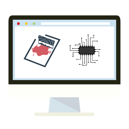 Création logo et identité visuelle (Programme)