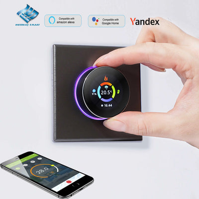 ThermoandreWIFI à bouton intelligent pour le chauffage de l'eau 5A, pommeau de corps à gaz, 16A, chauffage électrique nous-mêmes avec Alexa Google Home Yandex, 24V, 220V