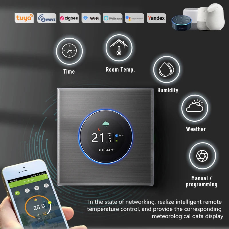 ThermoandreWIFI à bouton intelligent pour le chauffage de l'eau 5A, pommeau de corps à gaz, 16A, chauffage électrique nous-mêmes avec Alexa Google Home Yandex, 24V, 220V