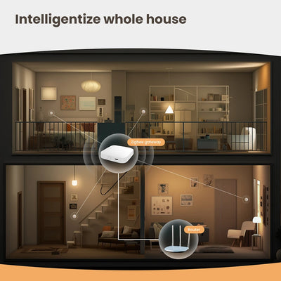 Tuya Zigbee capteur de lumière capteur de Luminance APP contrôle éclairage détecteur de luminosité automatisation d'éclairage domestique