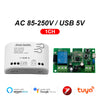 Tuya Zigbee 1 2 4 Gang Module de relais de commutateur USB 5V Dc 12v 24v 110v 220v 230v Contact sec 4CH contrôleur sur Rail Din passerelle requise