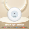 Tuya Zigbee capteur de lumière capteur de Luminance APP contrôle éclairage détecteur de luminosité automatisation d'éclairage domestique