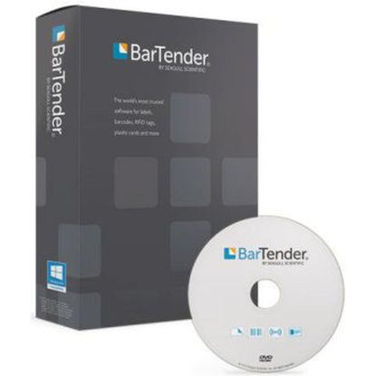 Prof Services System Integration REST API 30 Hrs